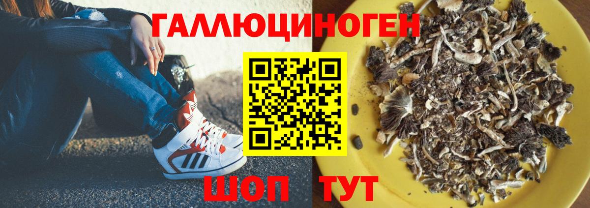 Феодосия  что такое наркотик  Вход с VPN  Галлюциногенные грибы мицелий  Псилоцибиновые грибы GOLDEN TEACHER 